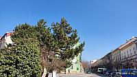 Jičín