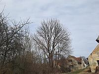 Mezná 