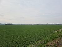 Císařov