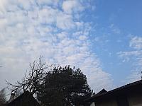 Olešná