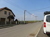 Třibřichy