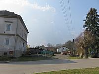 Třibřichy