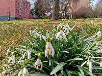 Třebíč-Borovina