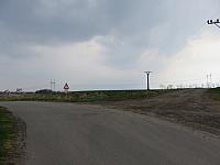 Třibřichy