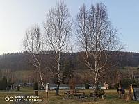 Holčovice