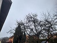 Olešná