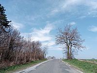 Lukovany