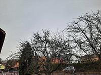 Olešná