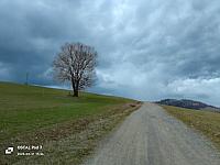 Nižná