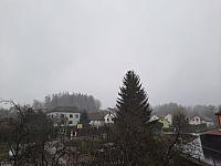 Olešná