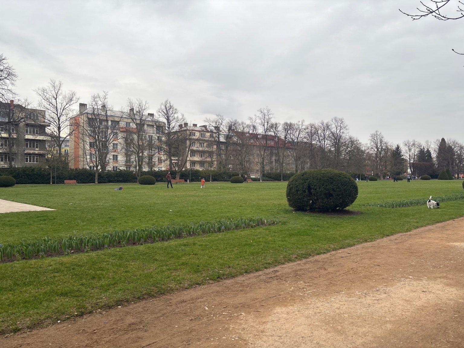 Poděbrady
