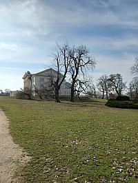 Svatý Mikuláš