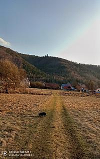 Stará Bystrica