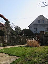 Třibřichy