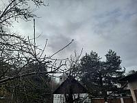Olešná