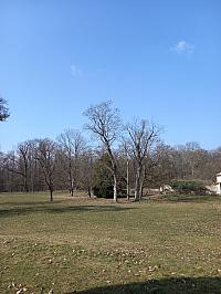 Svatý Mikuláš