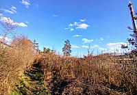 Třebíč-Borovina