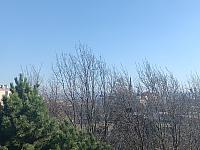 Olomouc-Lazce