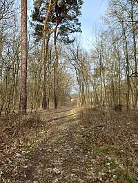 Svatý Mikuláš