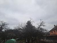 Olešná