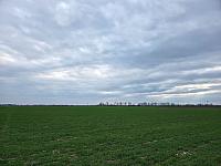 Odrovice