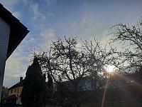 Olešná