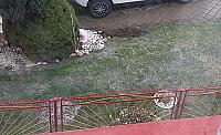 Mohelnice