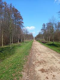 Svatý Mikuláš