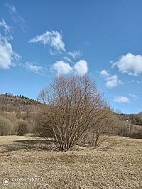 Stará Bystrica