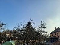 Olešná