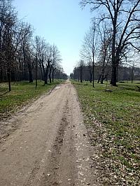 Svatý Mikuláš