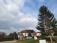 Olešná