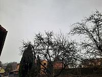 Olešná