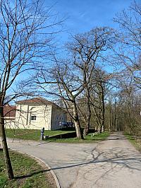 Svatý Mikuláš