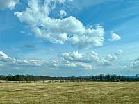 Dobříš