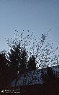 Stará Bystrica