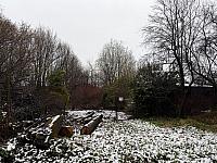 Český Těšín
