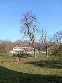 Svatý Mikuláš