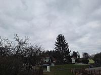 Olešná