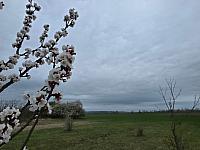 Odrovice