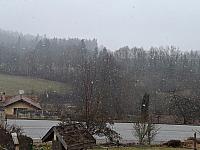 Zajíčkov
