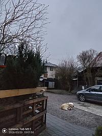 Stará Bystrica
