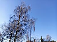 Olomouc-Lazce