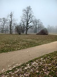 Svatý Mikuláš