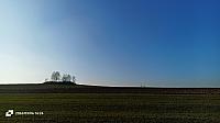 Votice