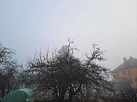 Olešná