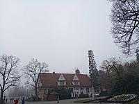 Fotografie