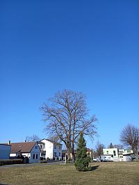 Svatý Mikuláš