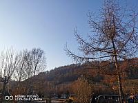Holčovice