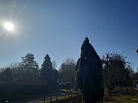 Olešná